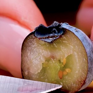 37M views · 123 reactions | Tricks For Plant Lovers | 5-Minute Recycle | Facebook