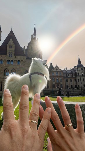 VANLIFE  | HAPPINESS | DOG on Instagram: "Today is the day 凉 Wish us luck ☘️ #marriage #wedding #wesaidyes #bride #groom #wifeandhusband #foreveryours #happilyeverafter . . #reels #reelsinstagram #reelsviral #trend #viral #fun #samoyed #dog #samojede #fluffydog #whitedog #explore #cute #fyp #blogger_de #hund"