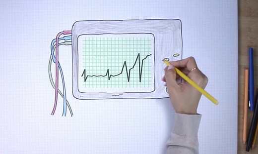 The legacy of Barack Obama, in seven drawings – video