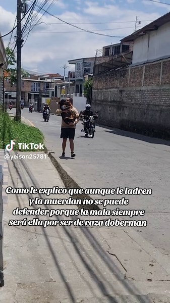 La Bebé Consentida: Desafíos de un Doberman