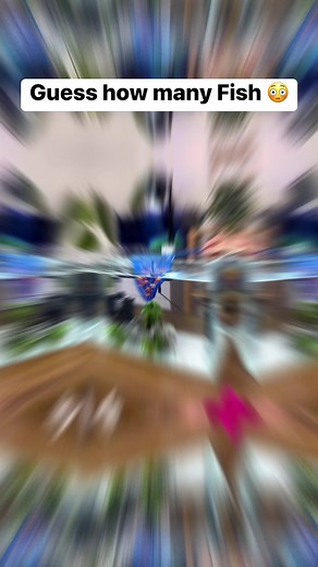 62K views · 320 reactions | Guess how many Fish  | Aquarium Info | Facebook