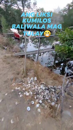ANG LIKSING KUMILOS☺️ #BossIronman2023 #viralreels #reelsvideo #trendingreels #reelsfb #reelsviral #reelsinstagram #evo888 #Tigreal #funnyreels | Menard Igot Tiglao
