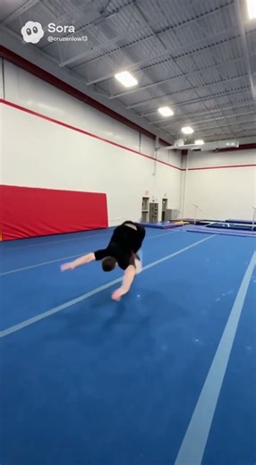 @steak 10 backflips ￼ ￼