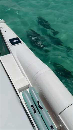 Looking for the ultimate day on the water? Our Private Catamaran Adventure is the perfect way to relax, explore, and soak in the beauty of the Emerald Coast! Departing from Miramar Beach, our spacious catamaran offers premium comfort, top-tier amenities, and plenty of room for up to 13 guests. . 📅 Book your luxury catamaran charter today! Spots fill up fast—reserve now at www.CrabIslandLuxuryAdventures.com . #breathtaking #rosemarybeachfl #fy #seaside #beautiful #emeraldcoast #beach #sandestin 