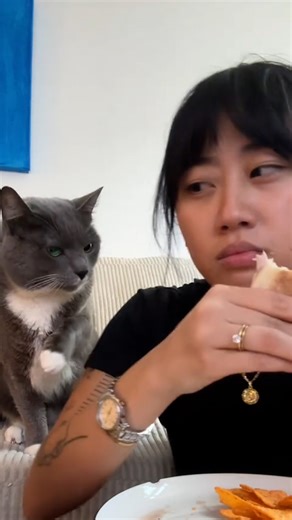 She never thought she'd become a cat lady, then she met Mr. Ramen... Keep up with Mr. Ramen on TikTok: thedo.do/younheeyounhee Footage provided by Moriah Y via Collab. | The Dodo