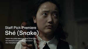 10 of the Best Thriller Videos| Tense & Mind‑Bending Vimeo Shorts