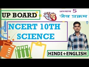 10TH CLASS PHYSICS CHAPTER 2 NUMERICAL