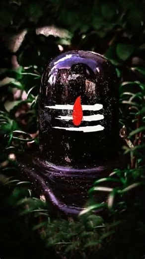 हर हर महाकाल #short #video #trending #video #viral #video #new #video #har har mahakal