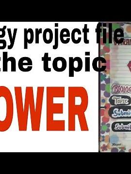 Biology🌿 project for class 11🏵 on the topic (Flower🌺)