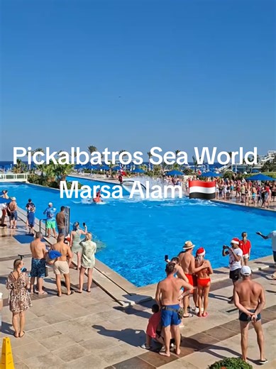 Wesołych Świąt w Marsa Alam z Picalbatros Sea World