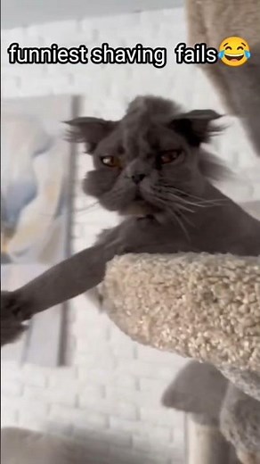 funniest shaving fails