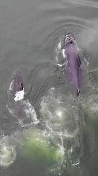 What’s the Weather Like in Alaska’s Inside Passage?