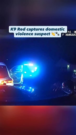 Vancouver Police Department on Instagram: "🚔🐶 After 20 minutes on scene, and giving commands, warnings, and chances to comply with officers, K9 Red was deployed to take this suspect into custody. 🐾 This kidnapping and restraining order violation suspect refused to get out of his vehicle, ignored repeated instructions, and said he wasn’t going back to jail. After continued refusal and movement back into the vehicle (increasing the risk to officers and others nearby), Offic