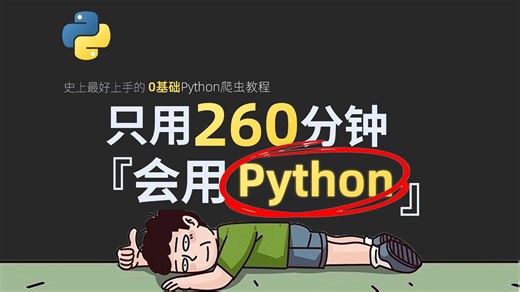 【整整600集】清华大学196小时讲完的Python教程（数据分析）零基础入门到精通全套教程，全程干货无废话，这还学不会，我退出IT界！数据挖掘-数据可视化