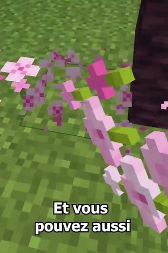 A quoi servent les pétales de rose dans minecraft ?