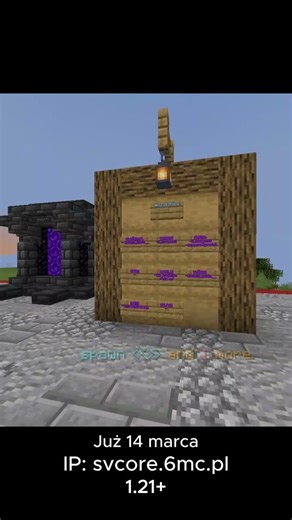 link do discorda w komentarzach jednak 😐 #minecraft #memes #funny #lifestealsmp #polska #piterszef