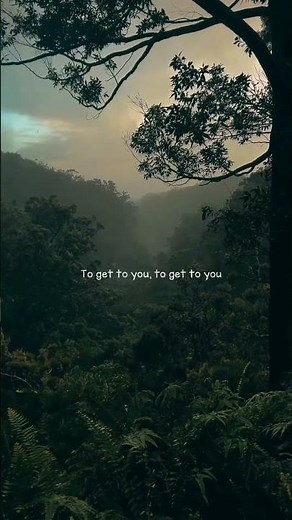 Selena Gomez , Marshmello - Wolves (Lyrics)