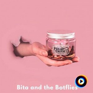 Bita and the Botflies | Lyrics, Song Meanings & Music Videos