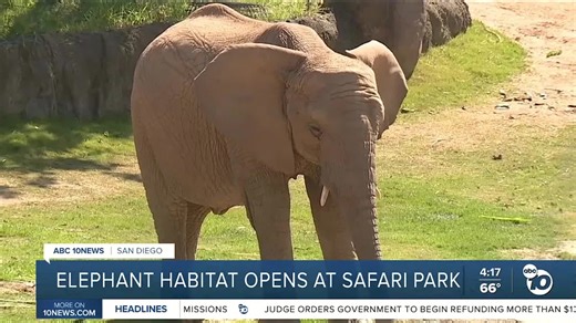 San Diego Zoo Safari Park in Escondido opens Denny Sanford Elephant Valley