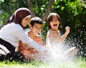 Developmental perspective - Emerging Minds