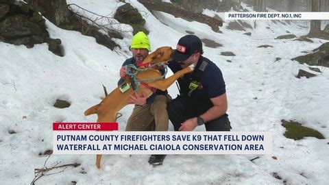 Putnam County K‑9 rescued after fall down waterfall at conservation area | Haystack News
