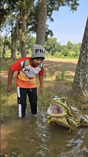 This Ain't a Mouth, It's Waterfront Property🐸