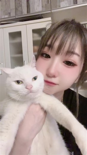 猫のいる生活と白猫の魅力