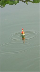 1.3M views · 10K reactions | pelampung sudah ngasik code ini #reels #mancing #fishing | Asal Mancing | Facebook