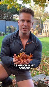 66K views · 1K reactions |  This year, instead of bagging up my...