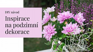 Podzimní dekorace: Inspirace a DIY návod na venkovní výzdobu | Tvořte s námi | Stream