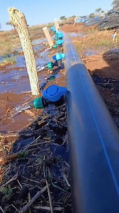 79K views · 717 reactions | Water your garden with Drip irrigation installation setup #fbviralpost2025シ | Farm with Tonny greenhouse and irrigation solutions | Facebook