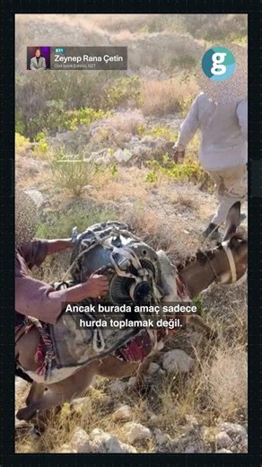 $30 Million on a Donkey’s Back: How Did the Iranians Carry US Drones on Donkeys?