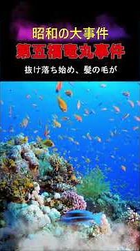#Daigo Fukuryu Maru #History #Showa Era