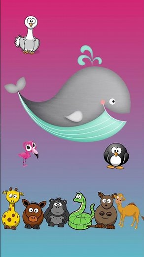 Animal Sounds Song for Kids 🐋🦁