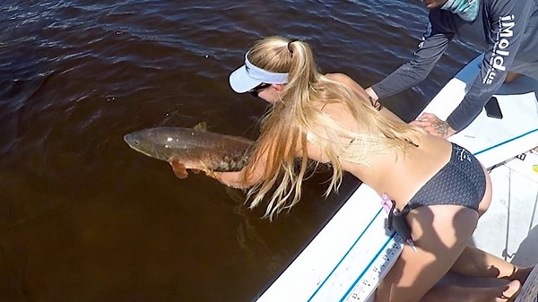 Over Slot Red Fish, Sailfish & Some Inshore Fishing