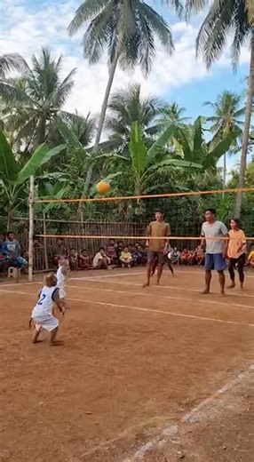 Crazy Monkey Volleyball Game Highlights