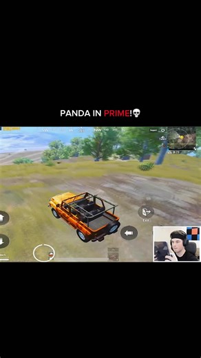 Panda Joins the Battle in PUBG!