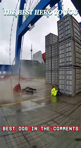 This Dog clearly has psychic powers or a sixth sense. #dog #pet #puppylove