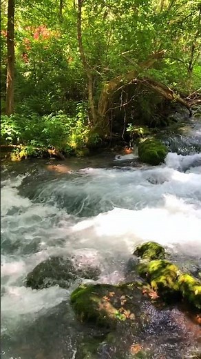 Alley Spring in Eminence, MO. #adventurebuzzed #nature #alleyspring