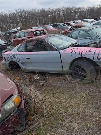 this junkyard was full of mustangs and camaros... including this colorful ol' gal. #mustang #junkyardfind #nonamenationals #nnbeaters #salvage