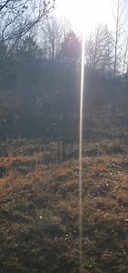 8.7K views · 60 reactions | There are plenty of rabbit tracks, and coyotes are also visible. | Catron's Kennel | Facebook