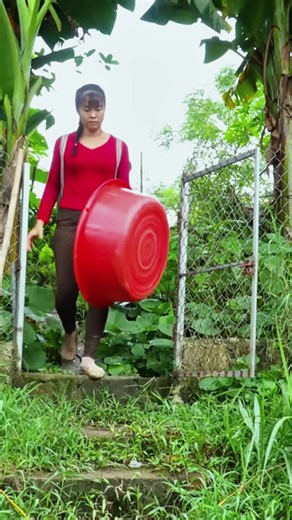 Ultimate Guide to Building Your Survival Garden