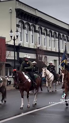 24K views · 1.5K reactions | Thank you Linn County Oregon Veterans Day Parade for putting on another incredible tribute to Veterans near and far. #albanyoregonpolice | Albany Oregon Police Department | Facebook