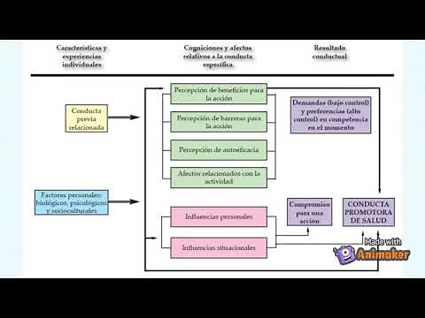 "Modelo de Promoción de la Salud" Nola J. Pender