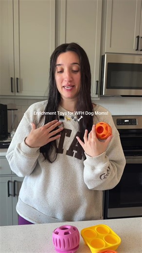 WFH dog moms… what are you doing to keep your dogs busy during the day?? My dog is soooo set on giving me the puppy dog eyes all day long until I have to take her out to play which ends up being like 8 times a day 😳 Habit Frozen Dog Treat Toy & Woof Pupsicle Interavtive Dog Toy from @Amazon #enrichmentfordogs #dogmom #wfhmom #wfhproblems #pettoys