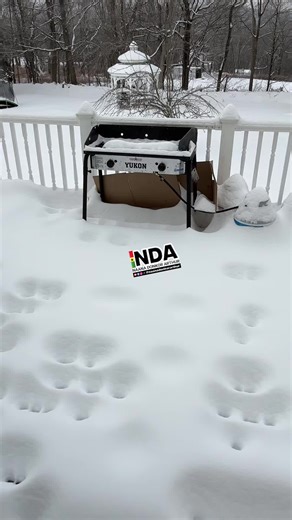 @Ezra A Asare #snow | azra