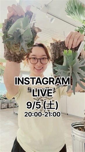 インスタライブ次回は10/11(日)20:00-21:00 #vandakaplants #ビカクシダ #観葉植物