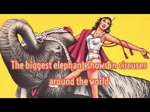 The biggest elephant shows in circuses around the world