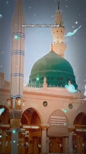 naat e sarkar ki parhata hoon#naat#ytshorts#islamicstatus#madina#trending