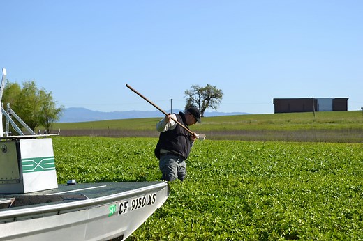 Mosquito Control Program